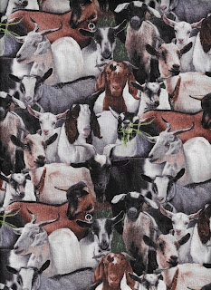Farm Animals goats, 6545