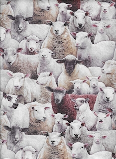 Farm Animals Sheep,, 6546