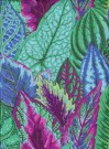 Kaffe Fassett, Coleus, Turquoise, 6511 thumbnail