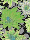 Cactus Flower, 6622 thumbnail