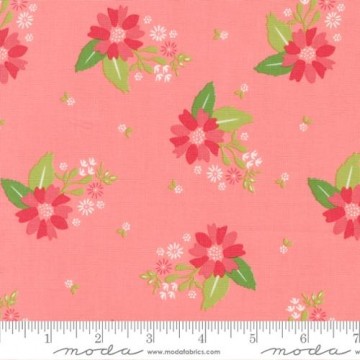 Strawberry Lemonade Carnation, 6915