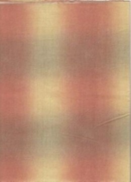 Westex, 169, 50 cm