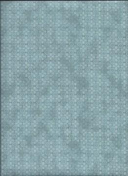 Aviary, 5219