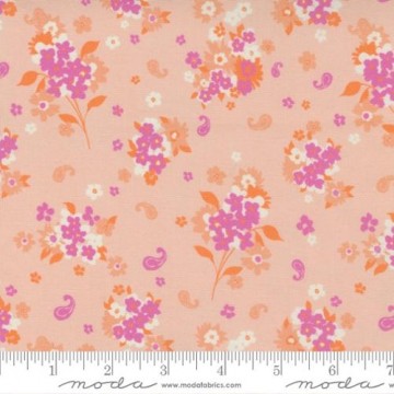 Paisley Rose, 6569