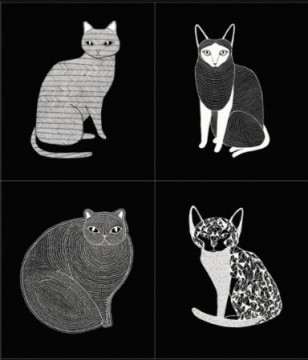 Catnip 5085