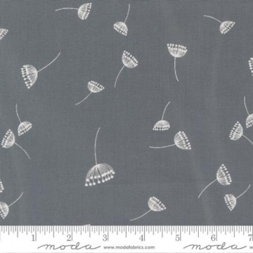 Filigree Graphite,  6598