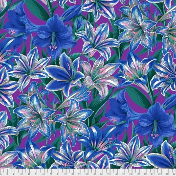  Amaryllis, Blue, 6619