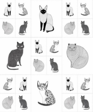 Catnip 5086