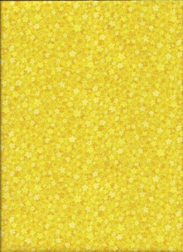 Hopscotch, 4950