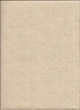 Wide Goods, 5199