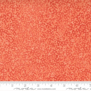Carolina Lilies Coral, 6500