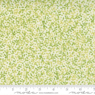 Carolina Lilies Cream grass, 6501