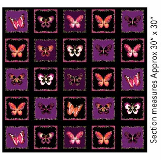 Butterfly jewel boxes berry, 5230