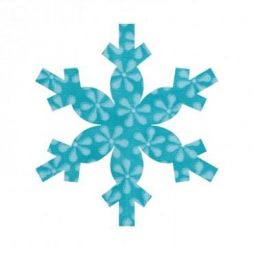 Snowflake, 55359