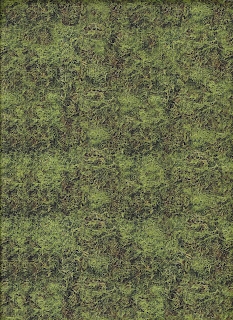 Outdoorsy, 6388