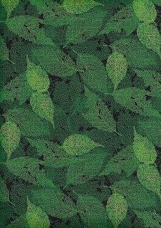 Foliage, 6273