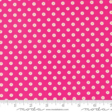 Vintage Soul Hot Pink, 6849