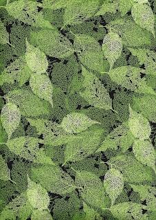Foliage, 6274