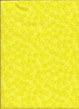 Hopscotch, 4951