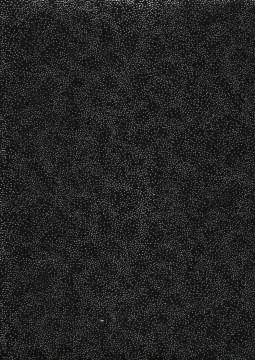 Brilliant Blenders, 5611, 50 cm