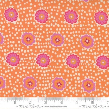 Paisley Rose, 6568