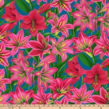 Amaryllis Red, 6620